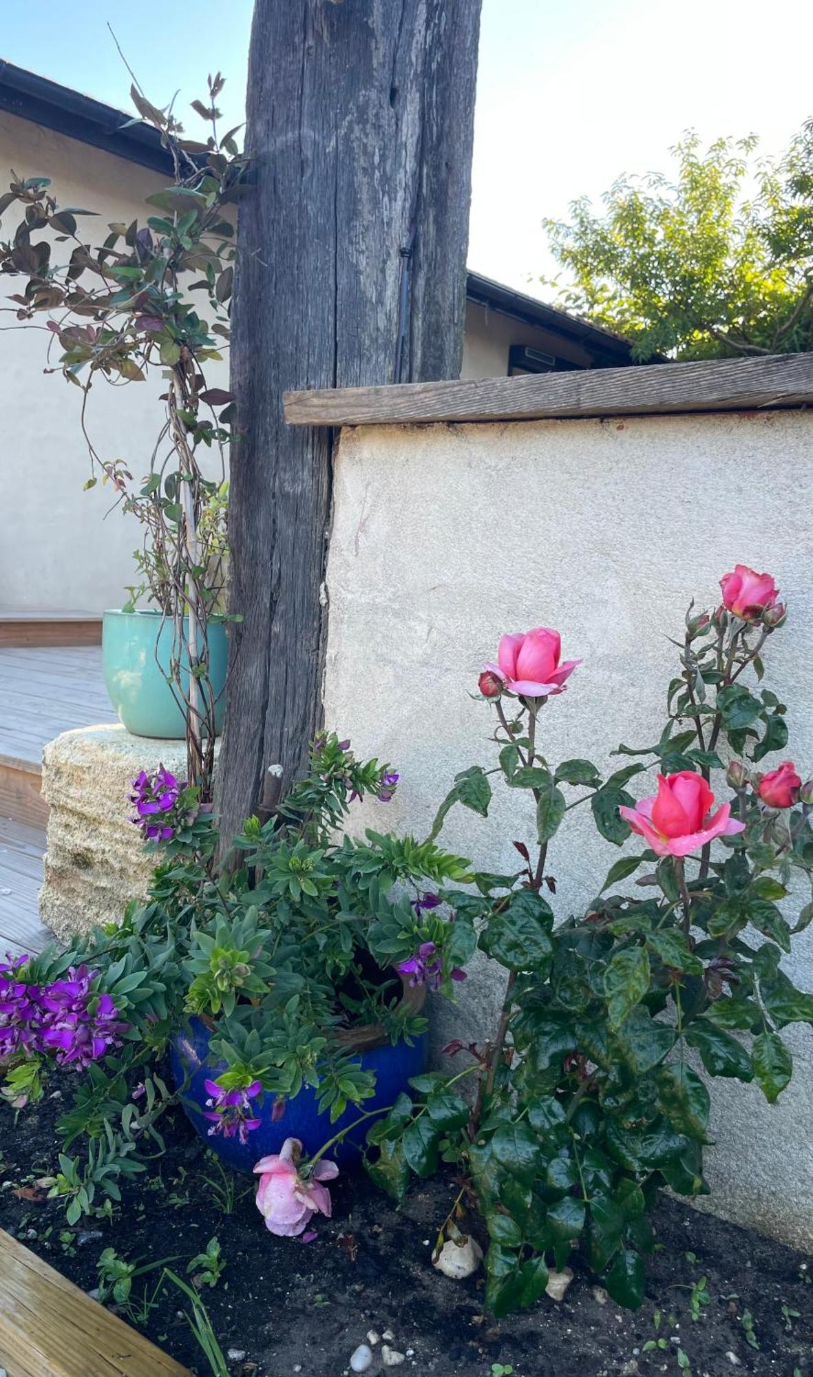 مبيت وإفطار Saint-Vivien-de-Médoc Instant Zen المظهر الخارجي الصورة