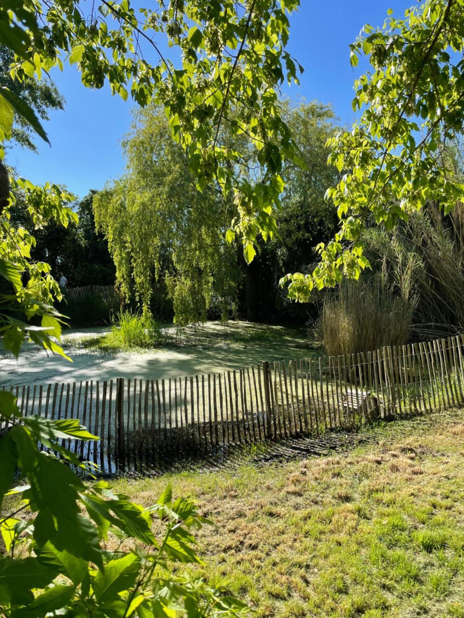 مبيت وإفطار Saint-Vivien-de-Médoc Instant Zen المظهر الخارجي الصورة